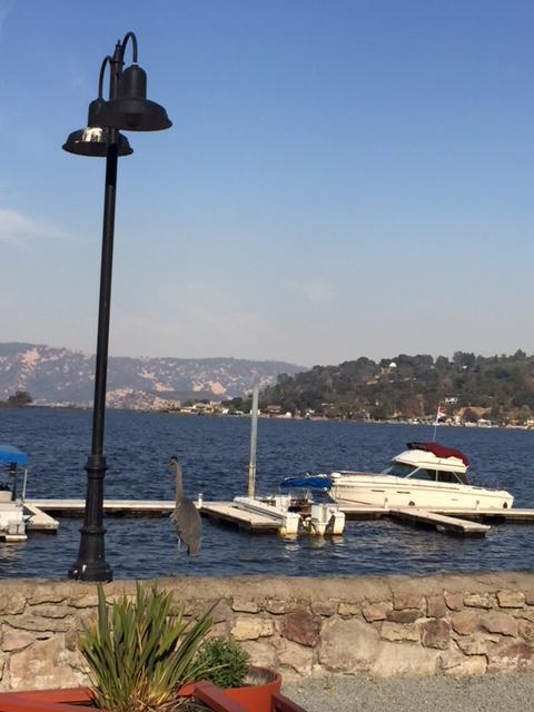 Clear Lake Vista Resort Kelseyville Extérieur photo